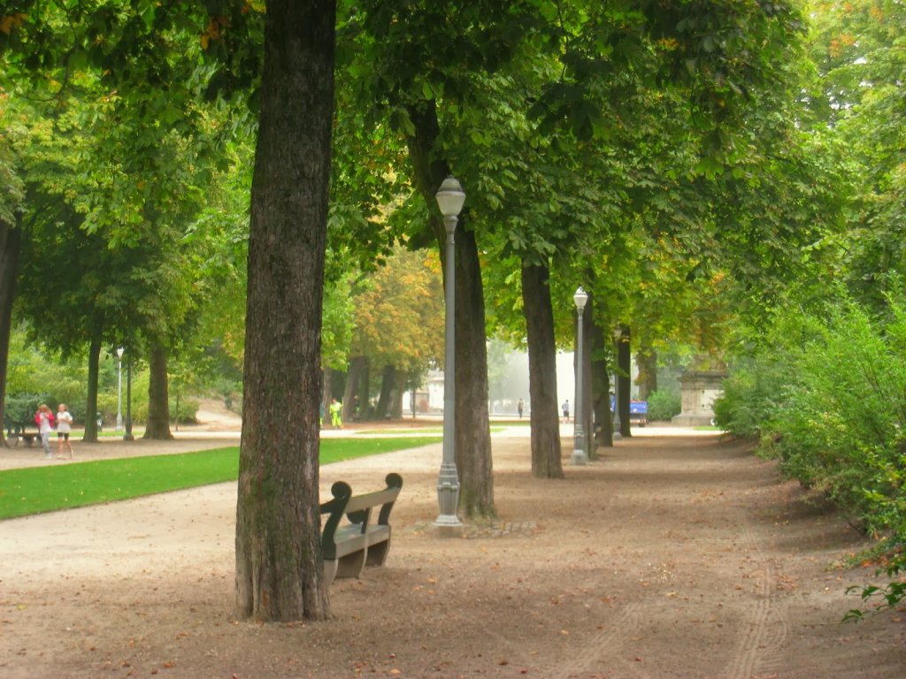 Vegetação no Parque do Cinquentenário em Bruxelas