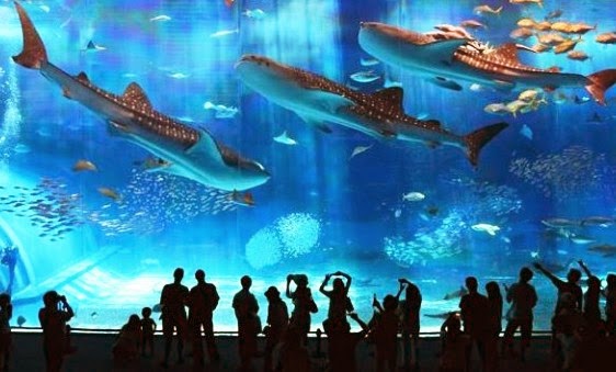 L’Aquarium de Barcelona