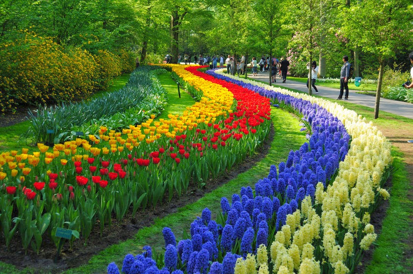 Jardim na Holanda