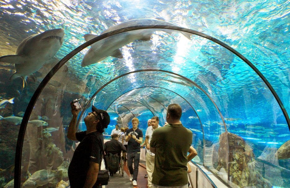 Visitantes no L’Aquarium de Barcelona