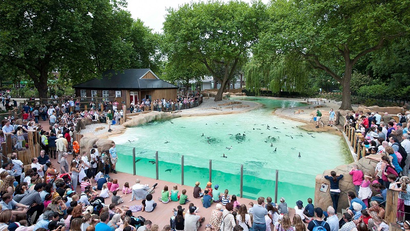 Zoológico London Zoo em Londres | Inglaterra