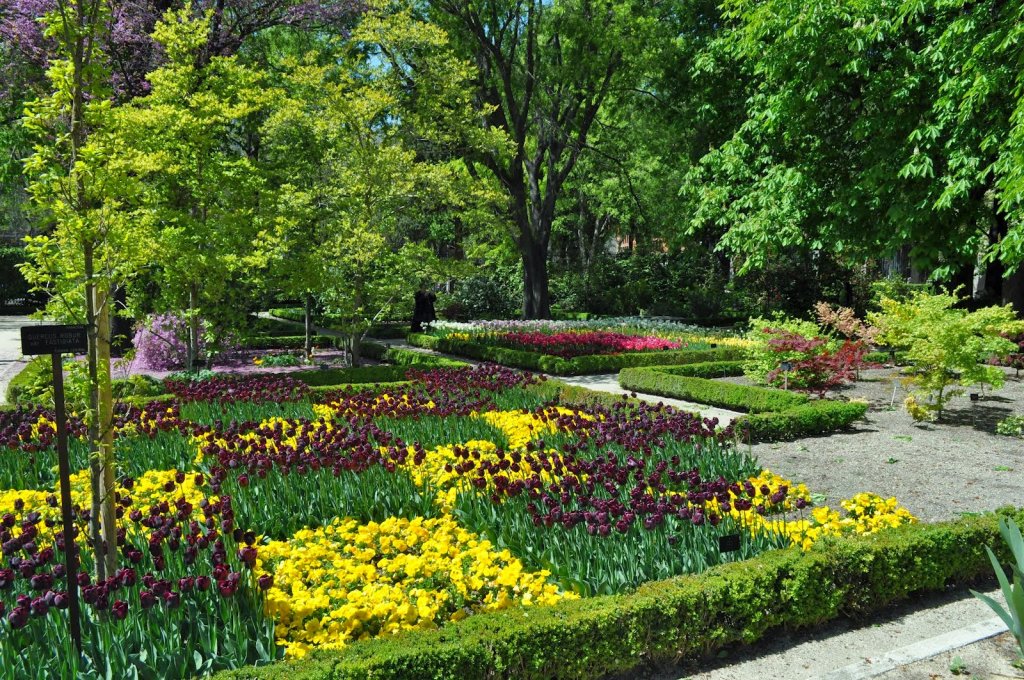 Real Jardín Botánico em Madri