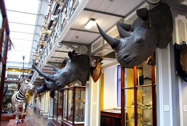 Museu de História Natural em Dublin