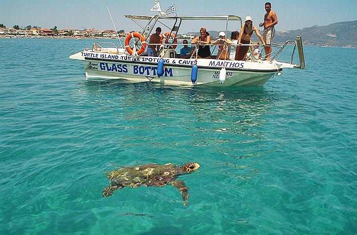 Pessoas em barco vendo tartaruga na Praia de Laganas