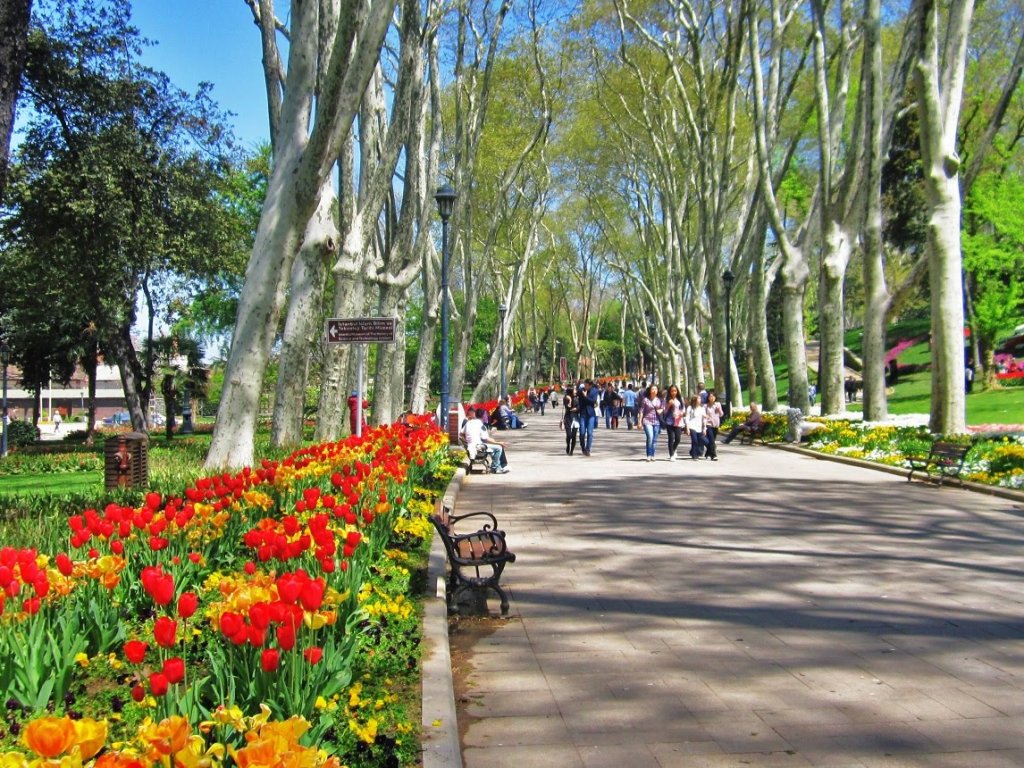 Flores e árvores do Parque Gülhane em Istambul